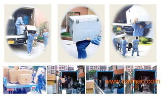 臺江區(qū)搬家公司價格與口碑服務(wù)指南