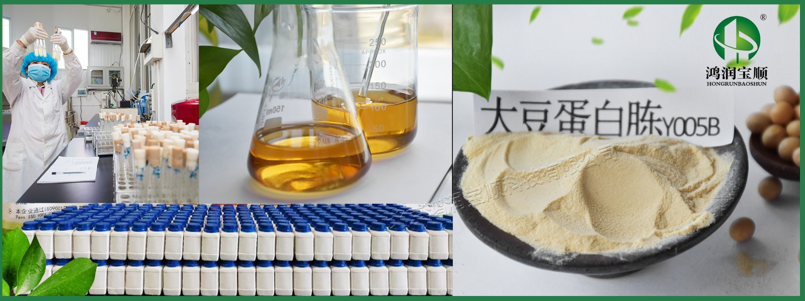 鴻潤寶順大豆蛋白胨在保健食品中的應(yīng)用與健康價(jià)值
